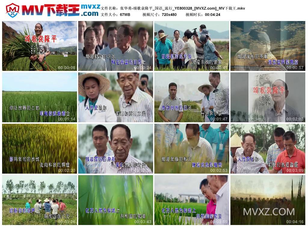 张华勇-颂歌袁隆平_国语_流行_YE800328
